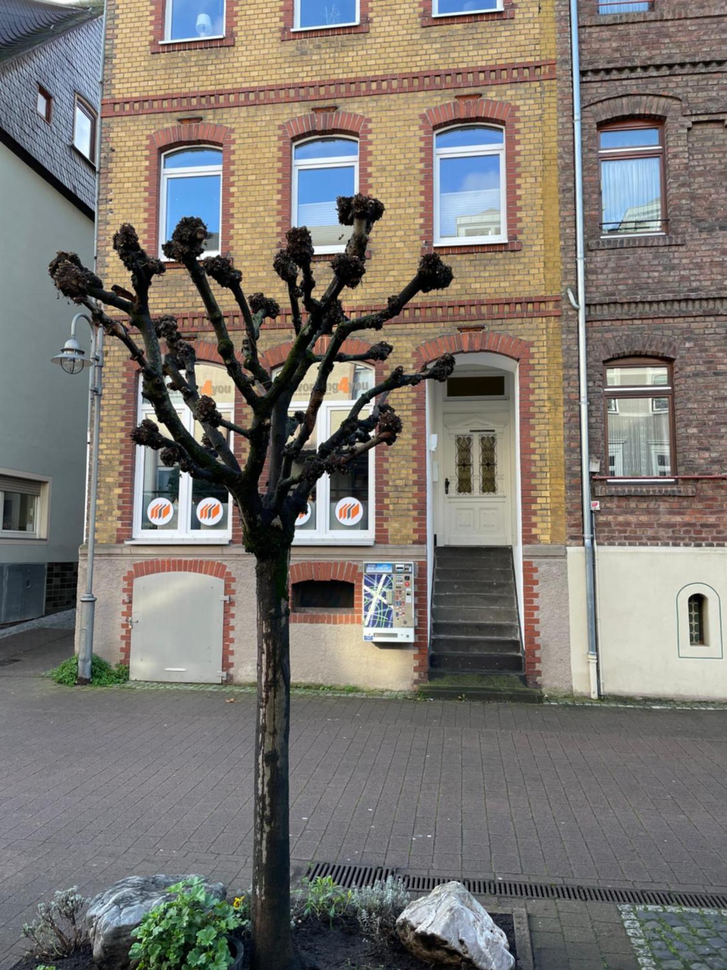 Apartmán Good Times In St. Goar Sankt Goar Exteriér fotografie